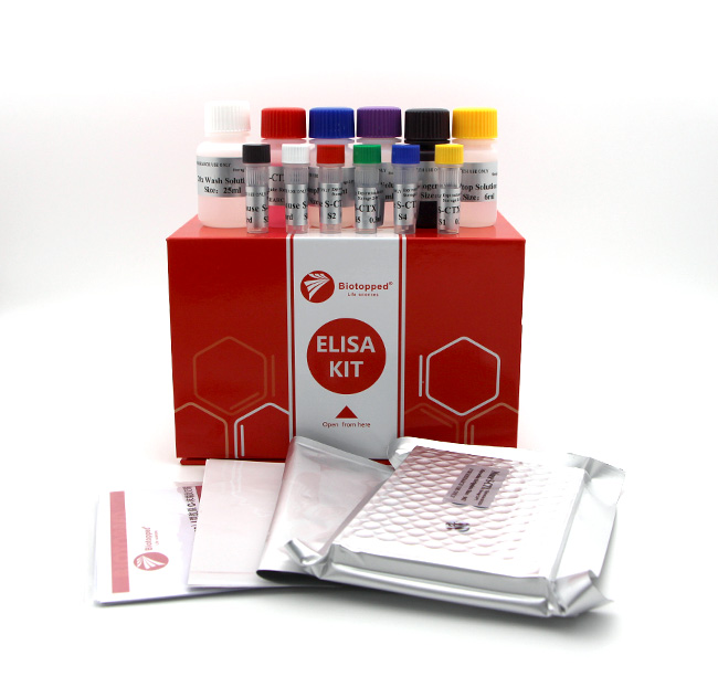 l carnitine assay kit 人(Human)L-肉碱(L-Carnitine)ELISA Kit